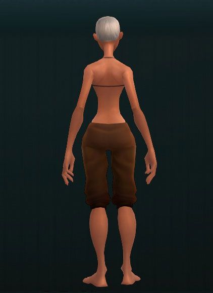 Warlord's Thwarting Shin Plates 2591