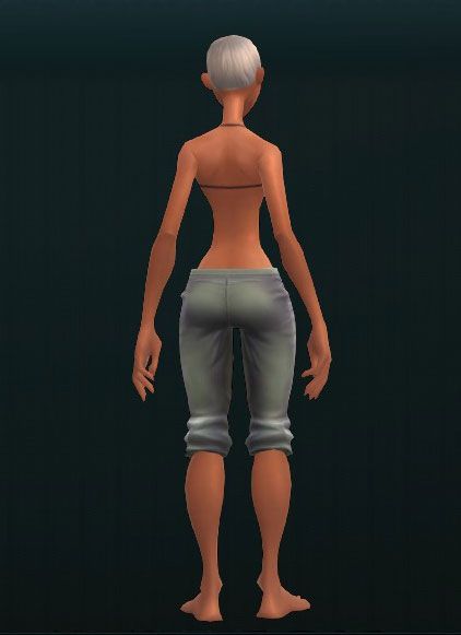 Well-Made Metal Leg Guards 3510